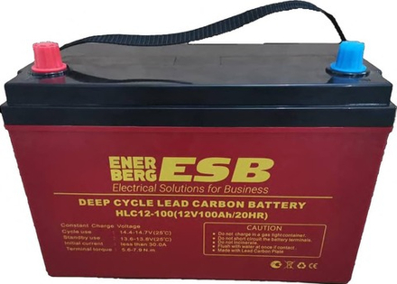 Тяговый аккумулятор ESB HLC12-100