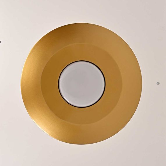 Подвесной светодиодный светильник Imperium Loft Rask 151756-26