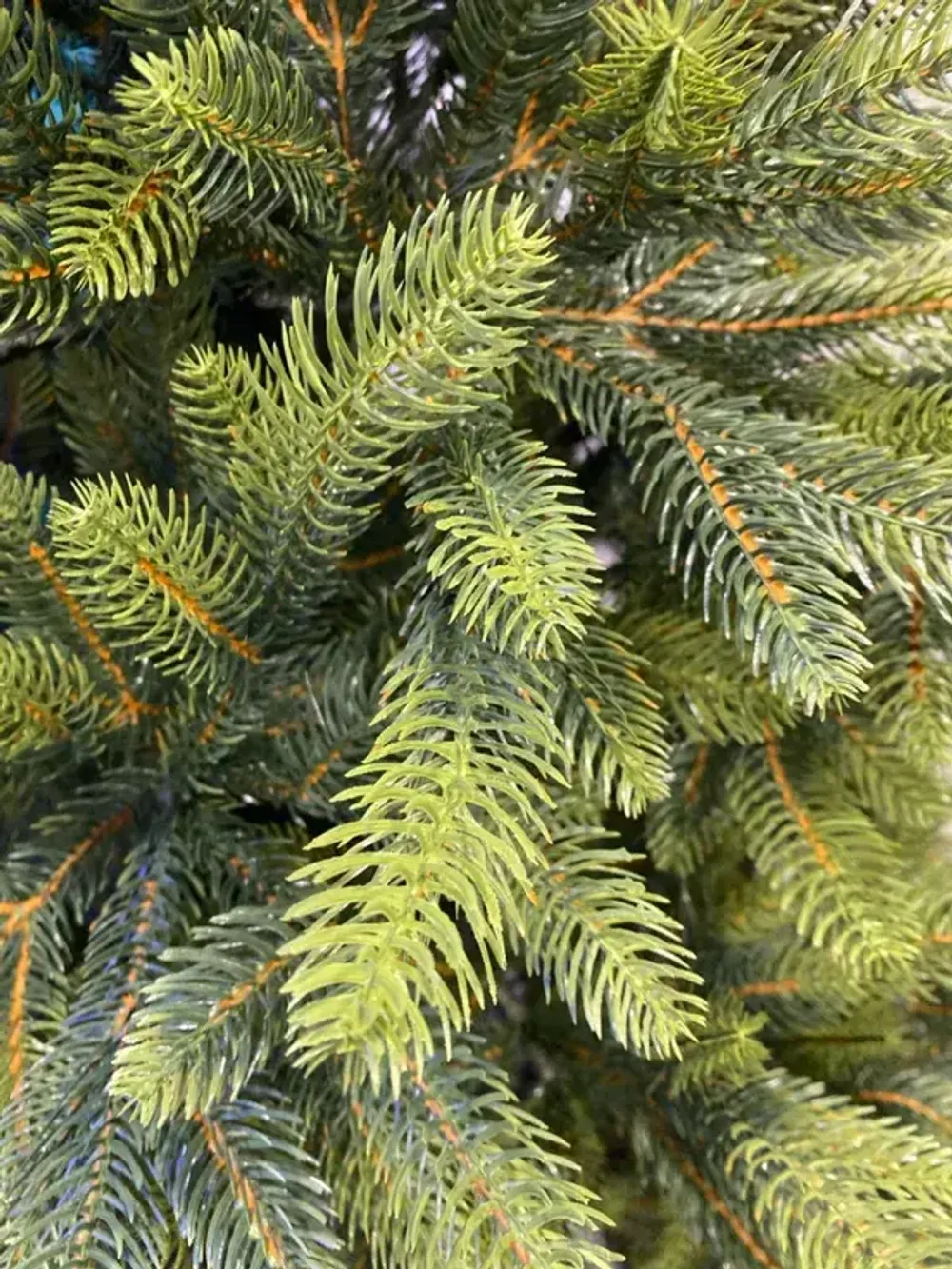 Ель искусственная "Приморская" (Литая хвоя) 210 см / 2,1 м