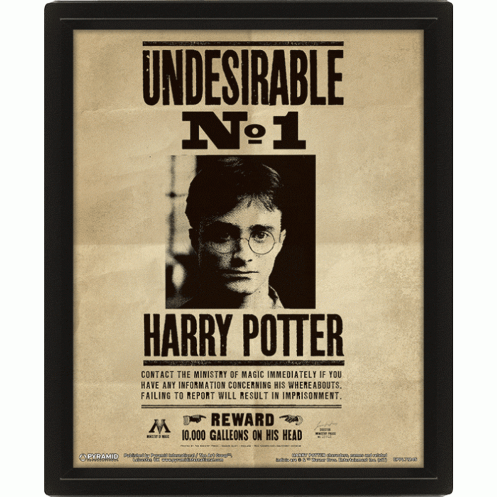 3D постер в рамке - Harry Potter (Potter / Sirius) NEW!