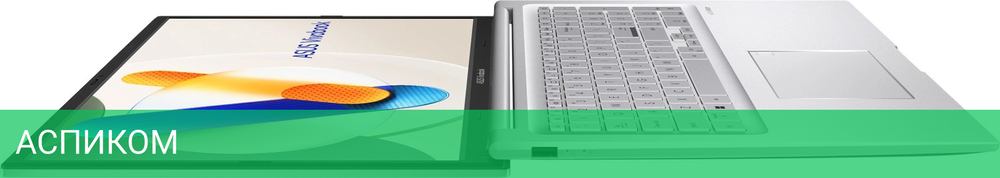 Ноутбук Asus Vivobook 17 X1704VA-AU893