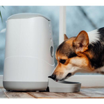 Умная кормушка для кошек и собак Petoneer Nutri