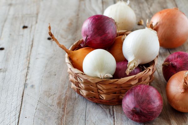 Подзимняя посадка лука-севка