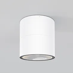 Уличный потолочный светильник Outdoor O310CL-L12W3K