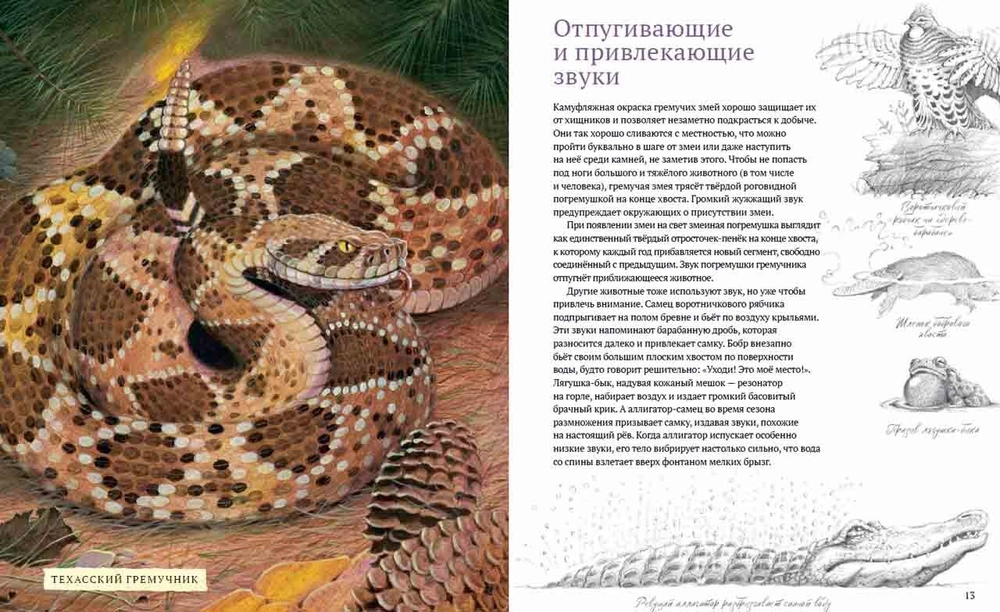 Посмотри на меня! (non-fiction)