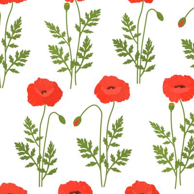 Цветы маки. Полевые цветы. Прованс