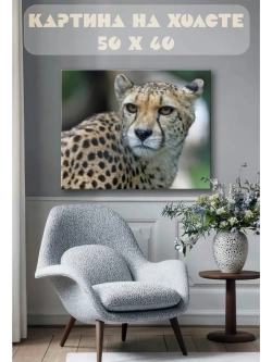 Картина на стену 40 X 50 Гепард