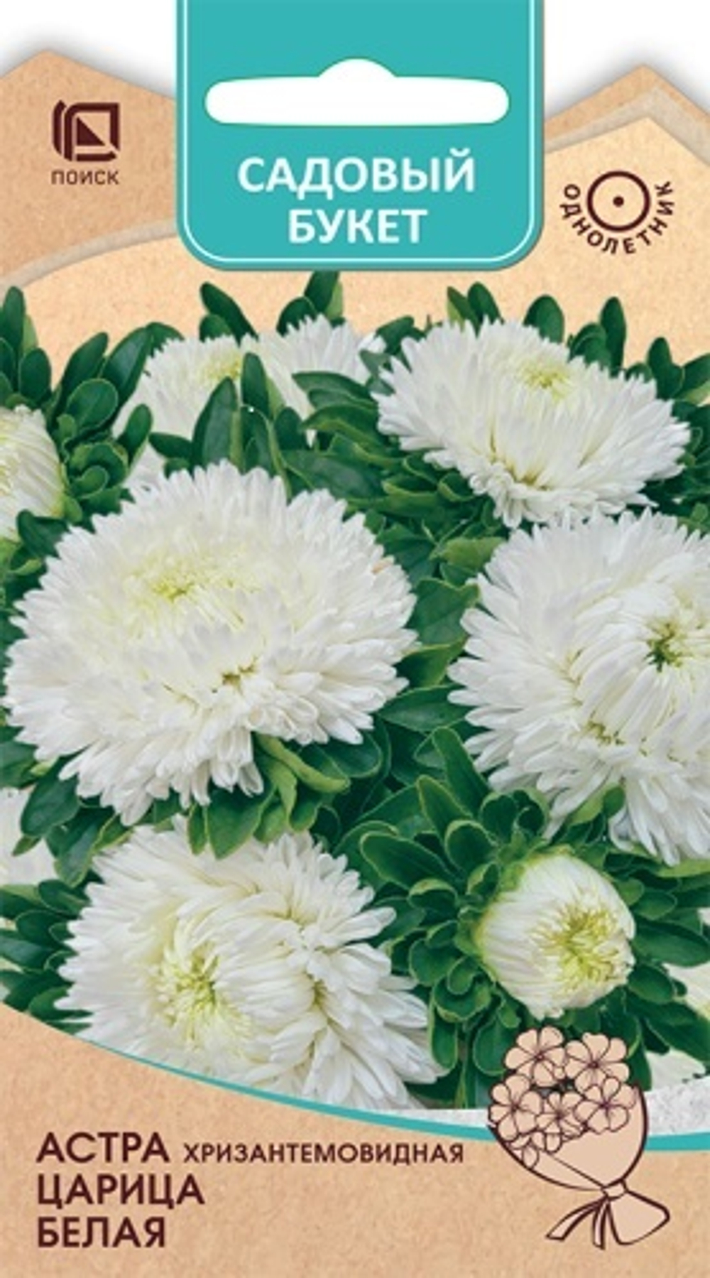 Астра Царица Белая хризантемовидная 0,1г (Садовый букет) Ц Поиск
