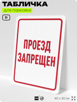 Табличка для парковки "Проезд запрещен", для дома, офиса, организаций, 40х30 см, Silver Plane x Айдентика Технолоджи