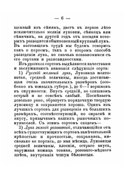 Лук, его сорта и способы разведения | Ростовцев Петр Васильевич
