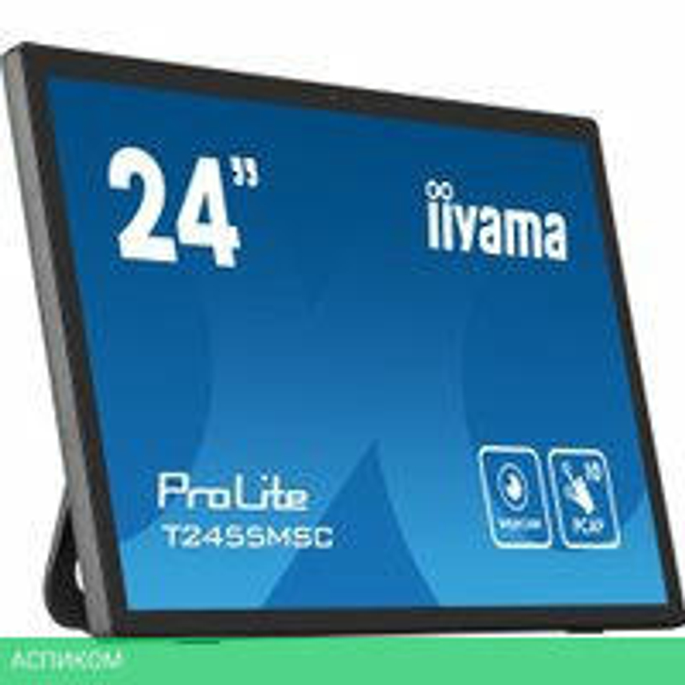 Портативный монитор Iiyama ProLite T2455MSC-B1