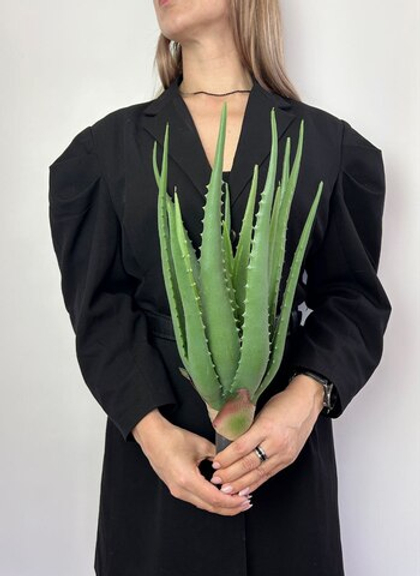 Алоэ реал тач / Арт 8015