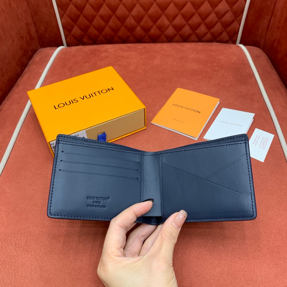 Louis Vuitton Multiple Wallet