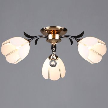 06382-0.3-03 FGD+COFFEE светильник потолочный