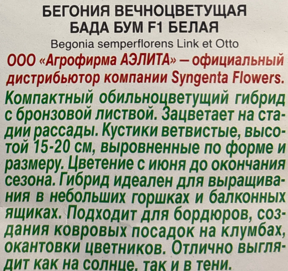 Бегония Бада бум F1 белая (2028; 71.95.02 /5) СМЦ-773