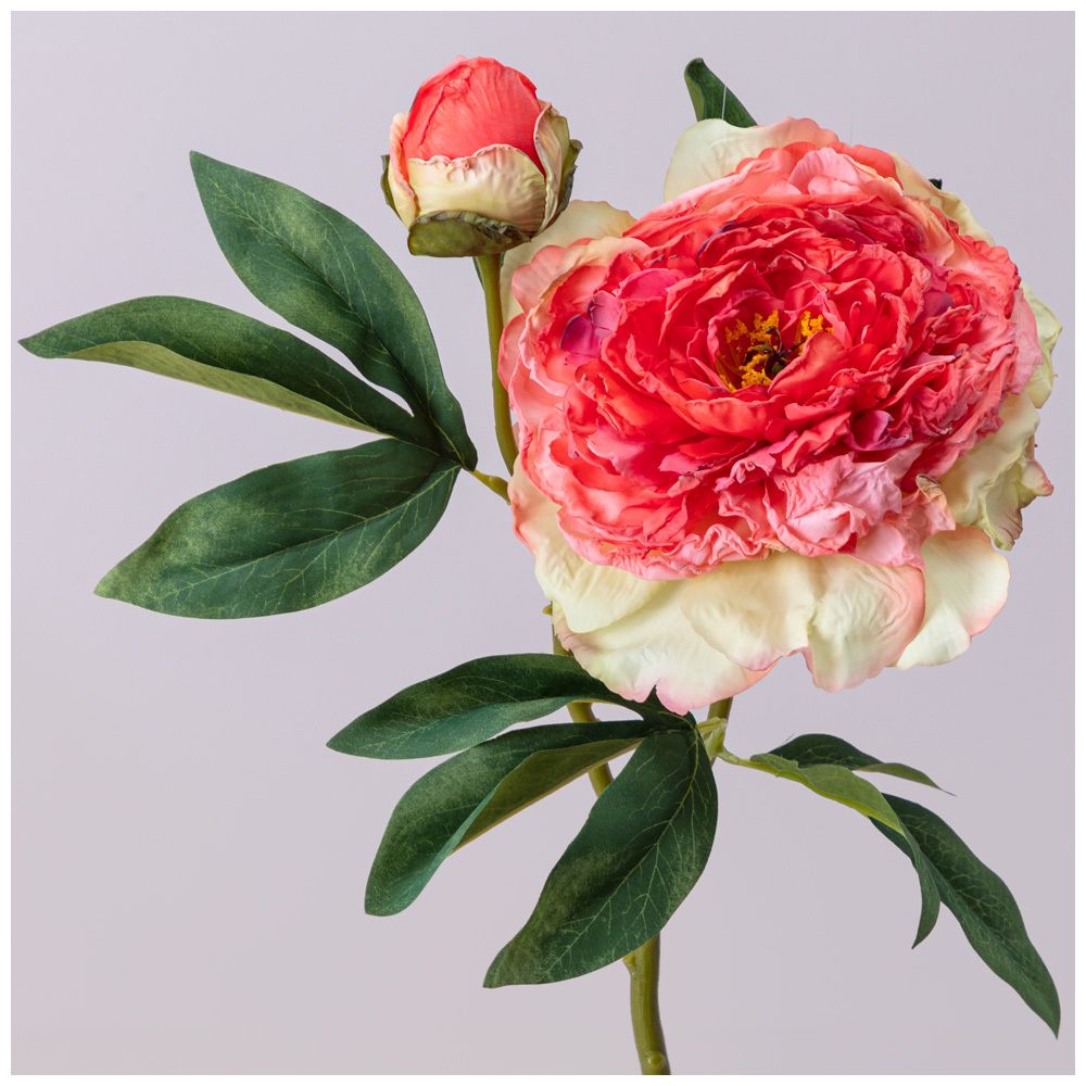 ПИОН С БУТОНОМ РОЗОВЫЙ, ВЫСОТА 48СМ МАЛ.УП.=36ШТ