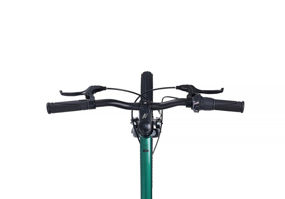 Maxiscoo "7BIKE" 20'' M200 (2024)