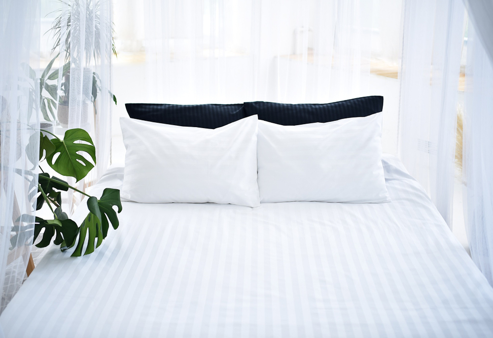 Страйп-Сатин