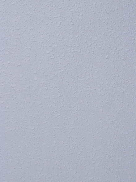 Rasch 1.06 m*25 177423 Wallton