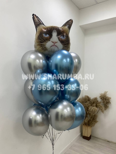 Набор "Сердитый кот"