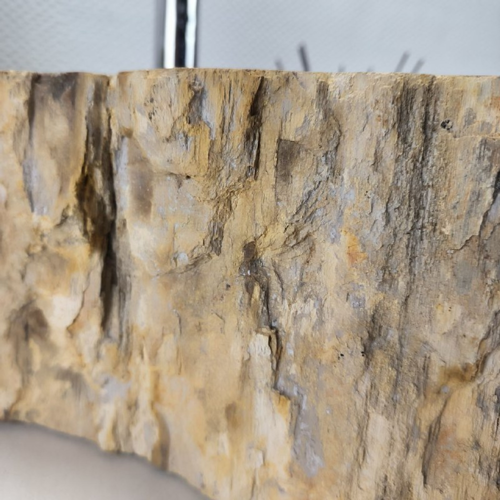 Раковина из окаменелого дерева Fossil Basin OD-02137 52*42*16 см