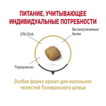 Royal Canin Pomeranian Adult Корм сухой для взрослых собак породы Померанский Шпиц 1,5 кг