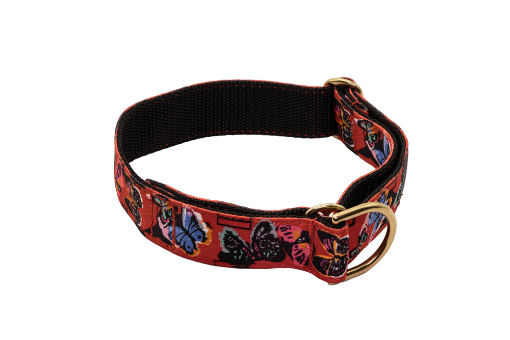 Широкий ошейник полуудавка для собак Баттерфляй Lapalandia 40 мм