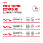 Royal Canin Fit 32 Корм сухой сбалансированный для взрослых умеренно активных кошек 0,2 кг