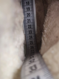 Ботильоны Trend One теплые 40 размер