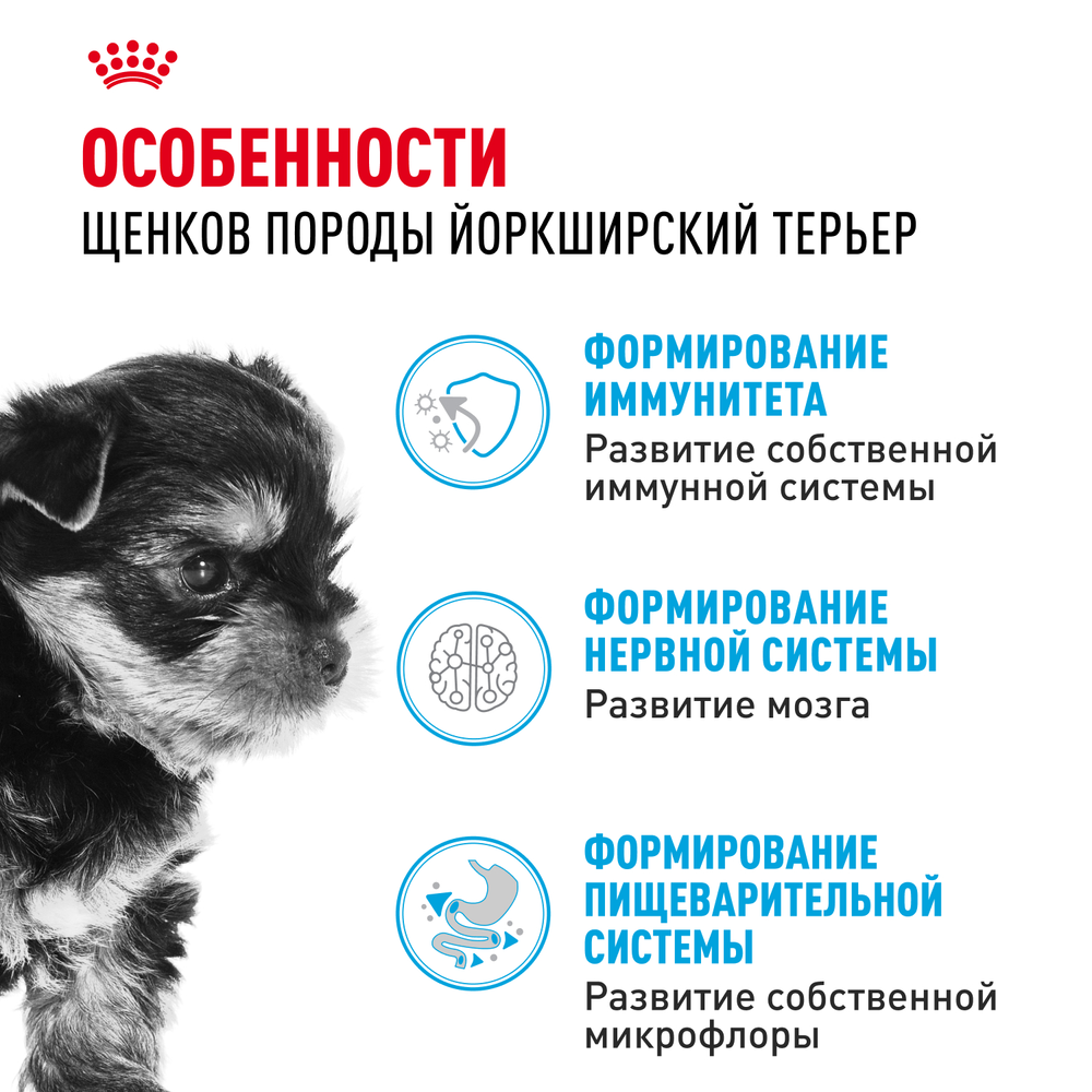 Royal Canin Yorkshire Terrier Puppy Йоркширский Терьер Паппи Корм сухой для щенков породы Йоркширский Терьер до 10 месяцев 1,5кг