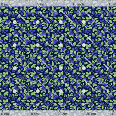 Черника на синем фоне, северная ягода by Art_alexandra 667 DPI