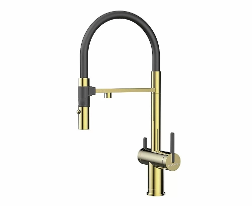 Смеситель для кухни Paulmark Gravity Gr213888-G золото