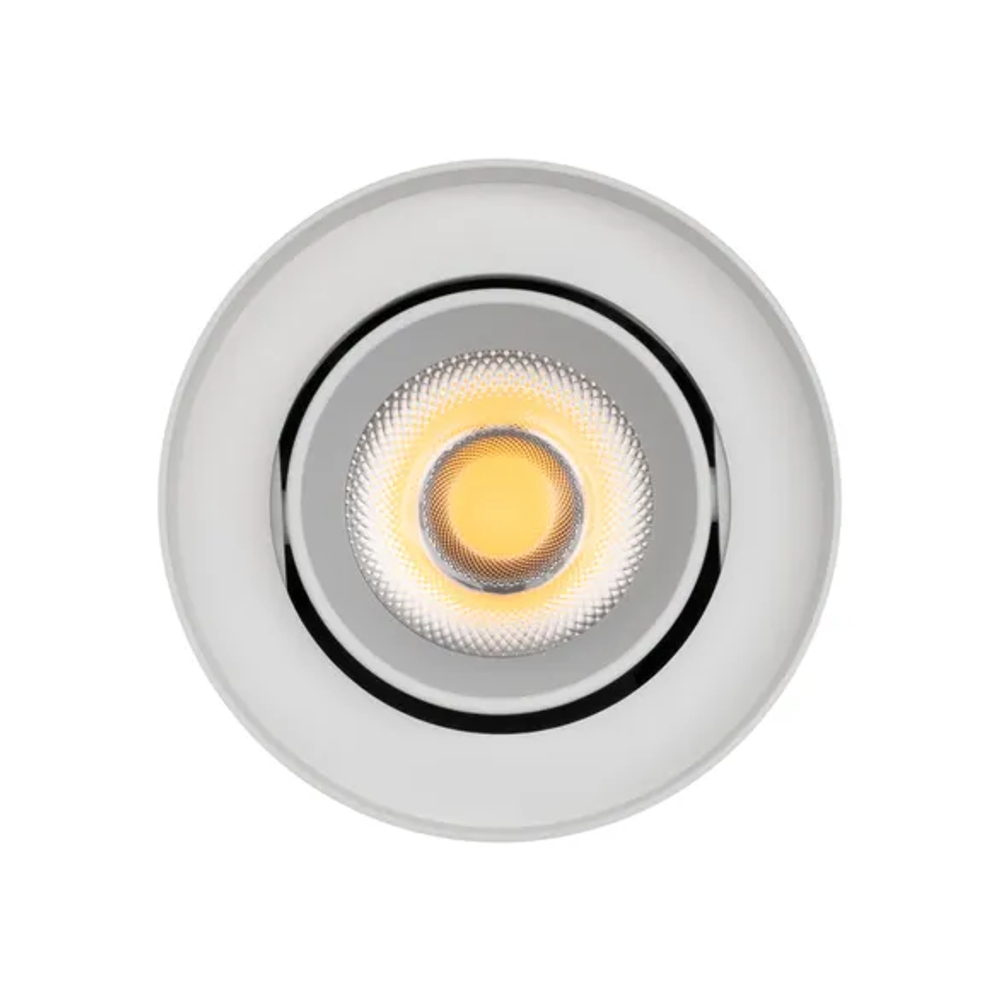 Светильник SP-FOCUS-R86-10W Day4000 (WH, 36 deg, 230V) (Arlight, IP54 Металл, 5 лет) 054858