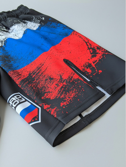 Шорты спортивные тренировочные Bad Boy World RUSSIA черный