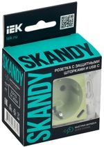 SKANDY Розетка с заземлением с защитными шторками 16А с USB C 18Вт SK-R17G мятный IEK