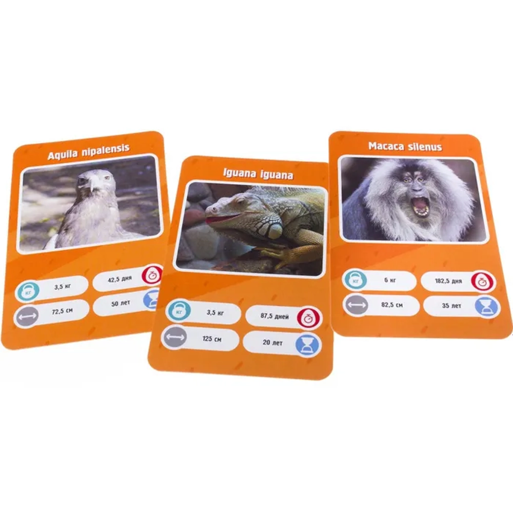 Настольная карточная игра Это факт! ЗООПАРК
