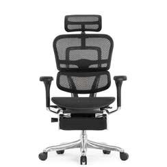 Кресло FALTO Ergohuman Elite 2 с подножкой ( чёрный каркас /сетка чёрный T-168-B1 Black )