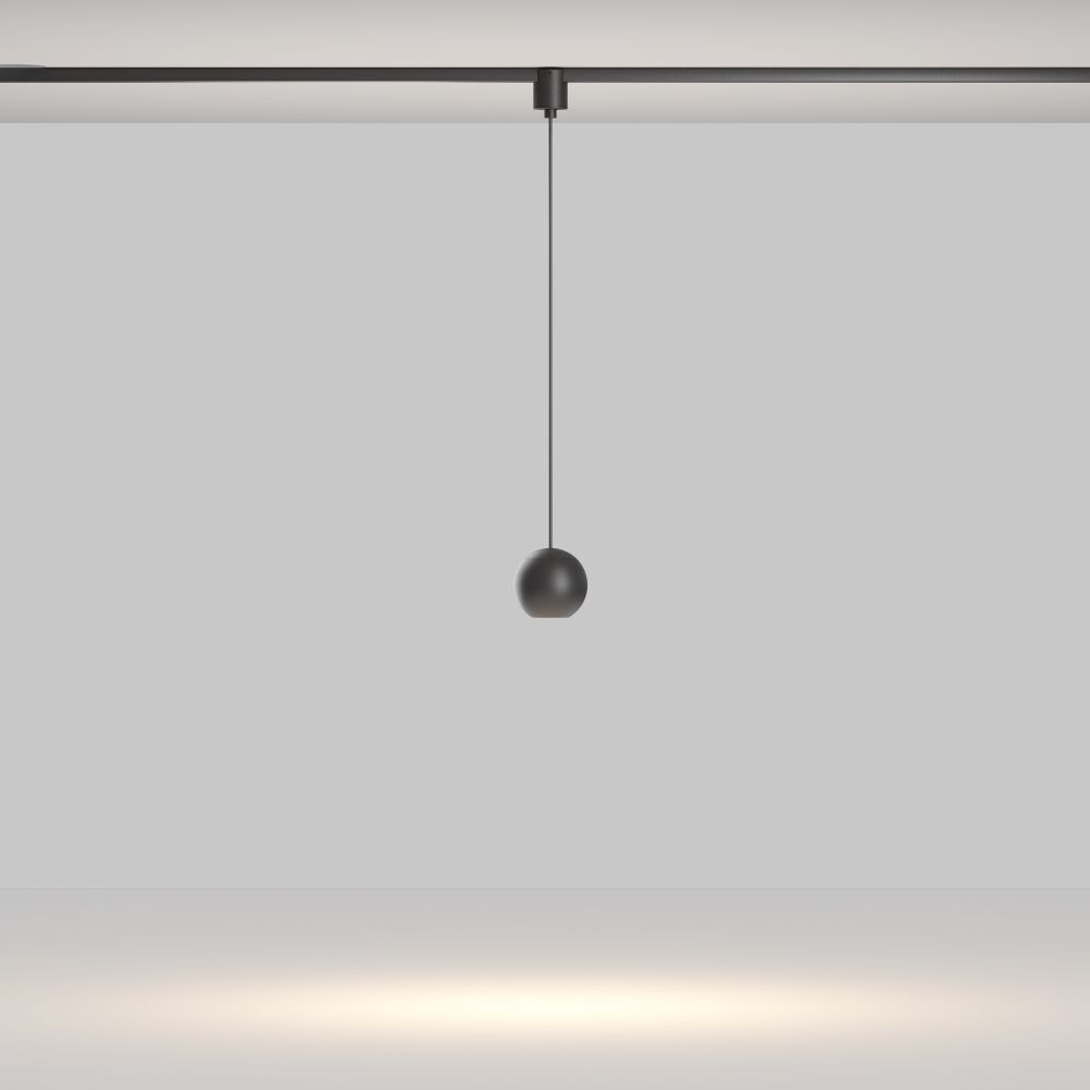 Трековый однофазный светодиодный светильник Maytoni Elasity Sfera TR165-1-8W3K-M-B