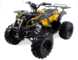 Квадроцикл MOTAX ATV Grizlik-8 125