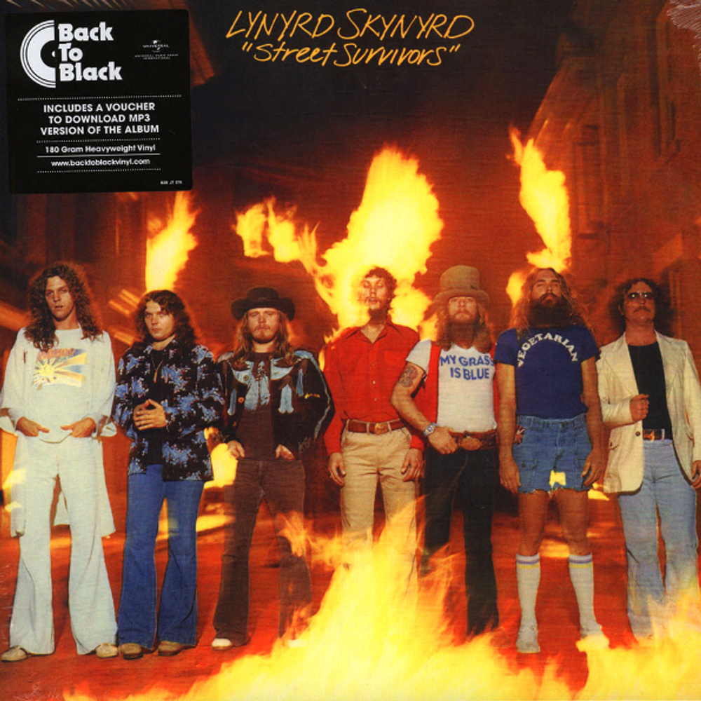 Lynyrd Skynyrd / Street Survivors (LP)