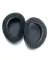 Dan Clark Audio Noire X - 2m 6.3mm and 3.5mm cable