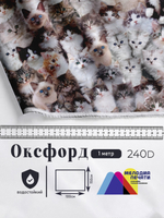 Оксфорд с принтом 1 метр №1 240 D