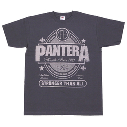 Футболка Pantera Stronger Than All графитовая (295)