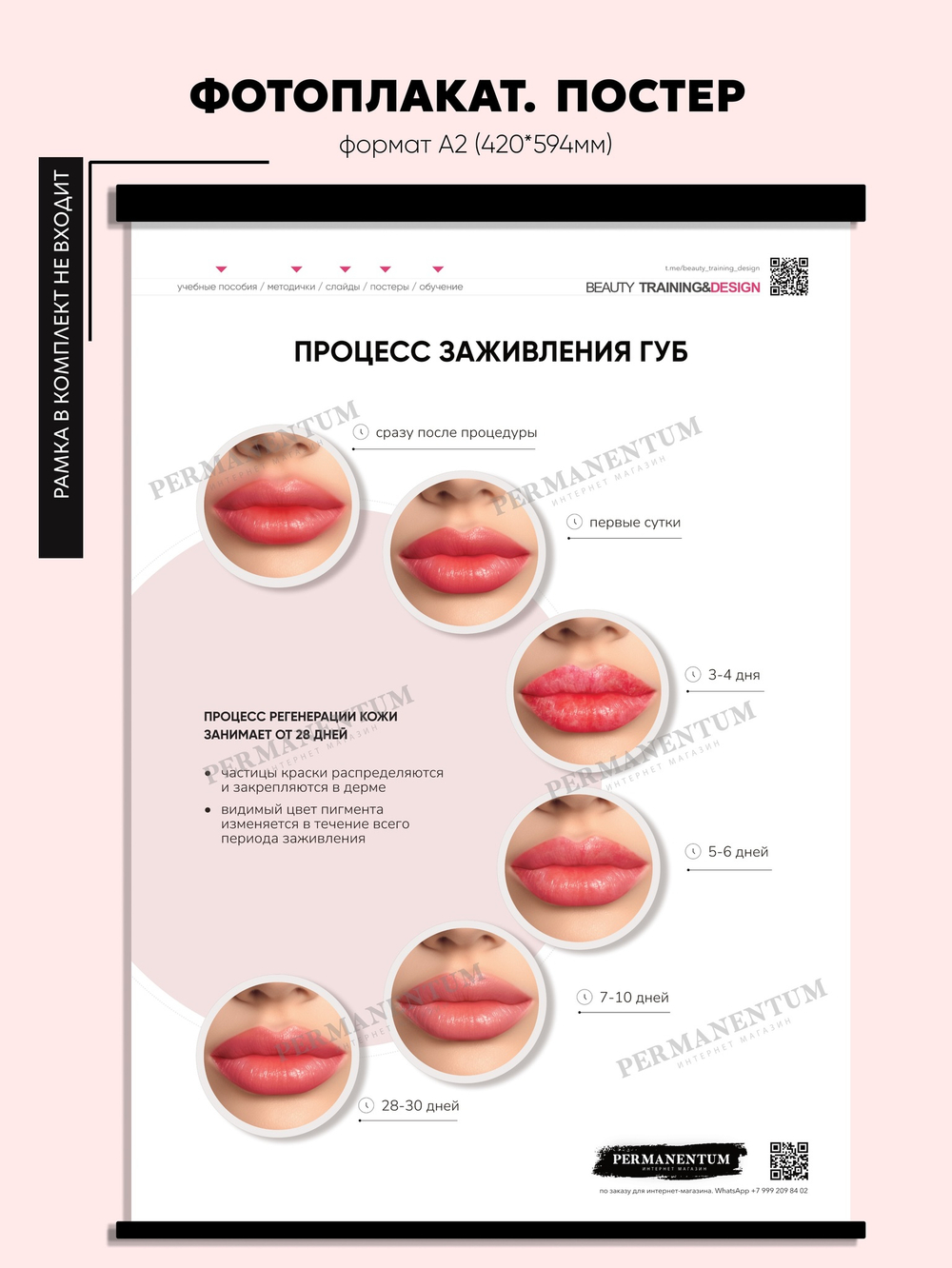 Постер плакат "ПРОЦЕСС ЗАЖИВЛЕНИЯ ГУБ" перманентный макияж обучение