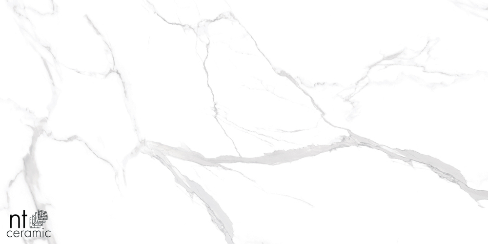 Керамогранит Statuario Ultra White NTT99512M 600*1200 полированный