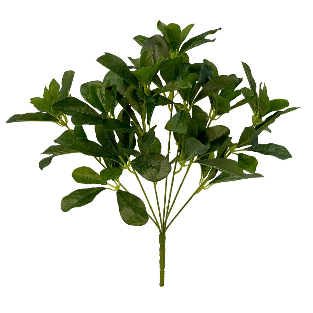 Шеффлера куст зелёный 40 см.