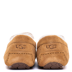 UGG Mens Ascot Chestnut