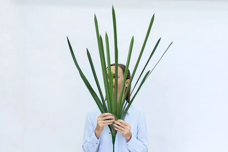 Куст из 16 листьев высокий