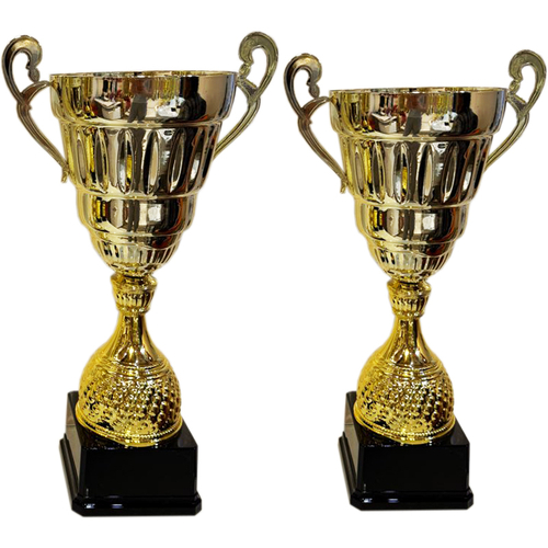 Кубок PN23-0929