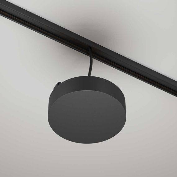 Источник напряжения Maytoni Technical TRA172DR-100W-DD-B